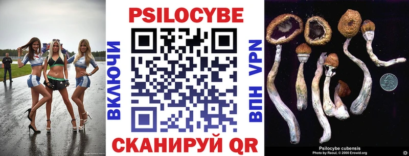 наркота  Амурск  Галлюциногенные грибы Psilocybe 